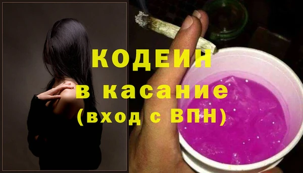 индика Бугульма