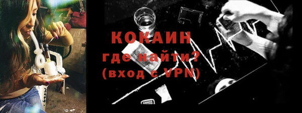 mdpv Бородино