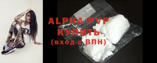 индика Бугульма