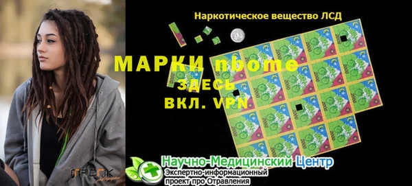 индика Бугульма