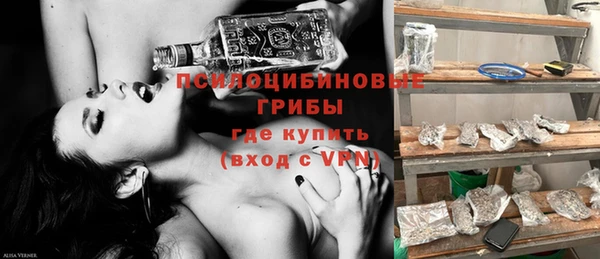 индика Бугульма