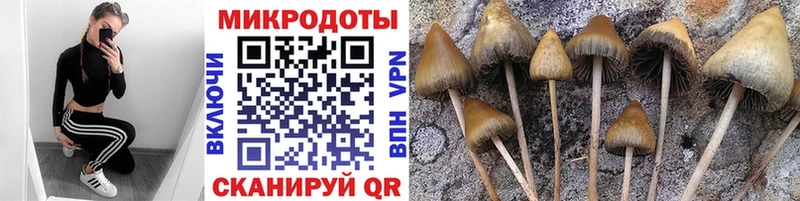 Псилоцибиновые грибы MAGIC MUSHROOMS  где купить   Гуково 